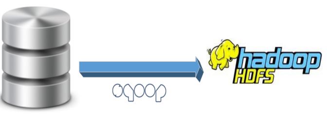 Utiliser Sqoop pour charger des données dans HDFS