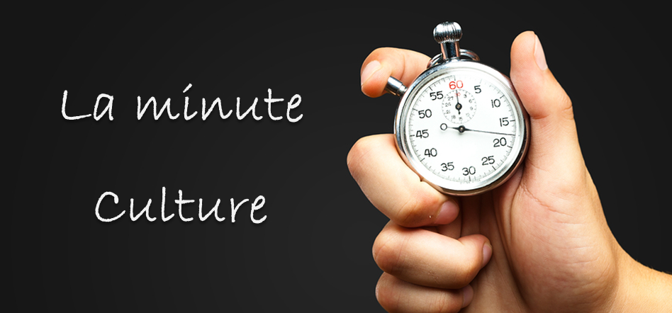 La minute culture - SAS web infrastructure platform et SAS web infrastructure platform  data server