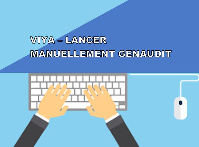 VIYA - Lancer manuellement genAudit