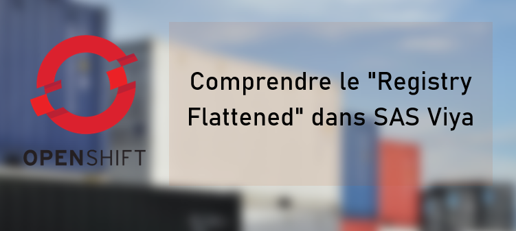 Comprendre le Registry Flattened dans SAS Viya